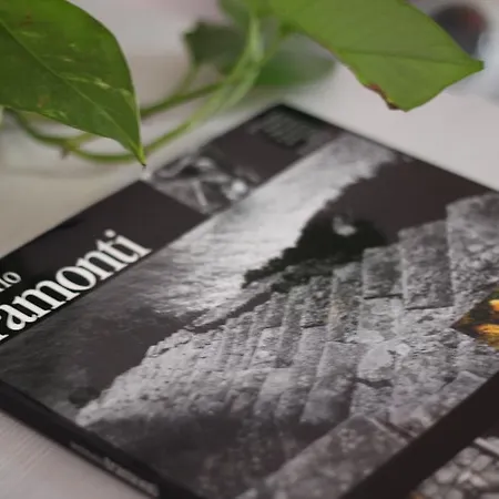 Cernaia 42 Panzió