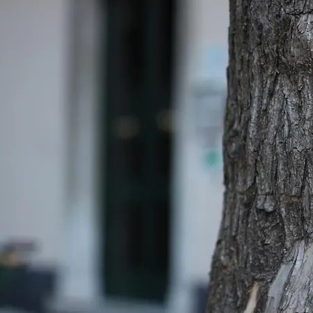 Cernaia 42 Bed & Breakfast 4*