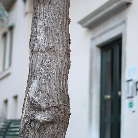 Cernaia 42 Panzió 2*