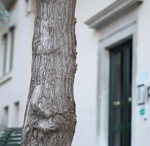 Cernaia 42 Bed & Breakfast 4*