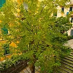 Bed and Breakfast Cernaia 42 4*