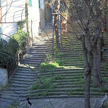 Cernaia 42 La Spezia