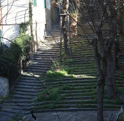 住宿加早餐酒店 赛尔奈亚42号住宿加早餐旅馆