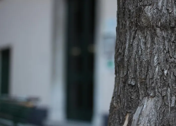 Cernaia 42 Bed & Breakfast 4*