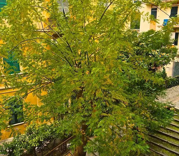 住宿加早餐酒店 赛尔奈亚42号住宿加早餐旅馆 4*